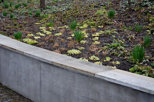 Concrete Wall Construction in Redmond