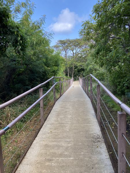 Footpath Construction in Redmond