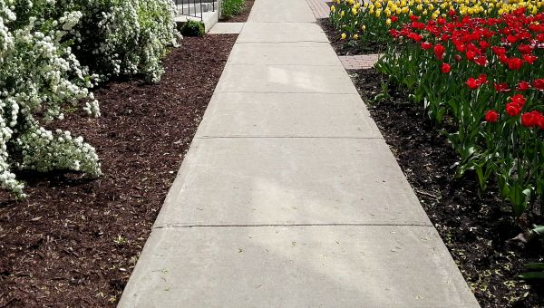 Cement Sidewalk Installation in Redmond