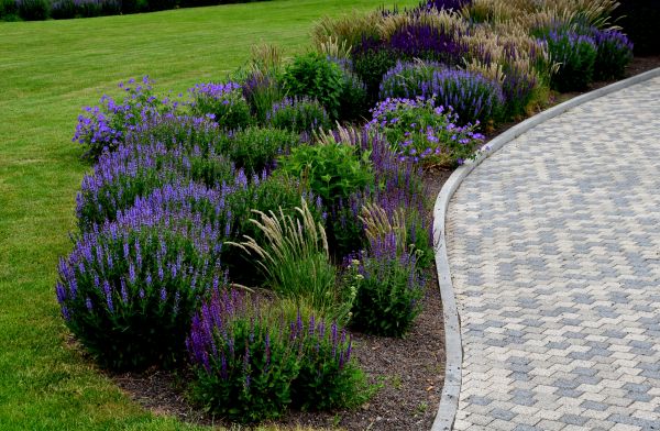 Sidewalk Curb Installation in Redmond