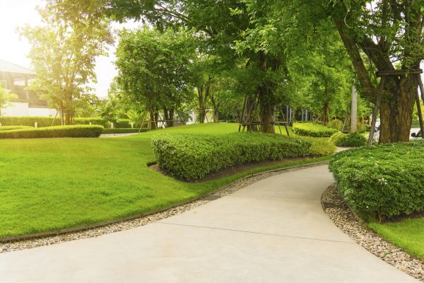 Walkway Concrete Installation in Redmond