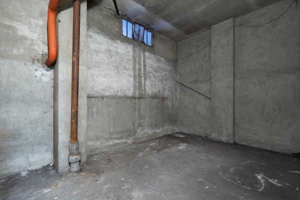 Basement Wall Construction in Redmond