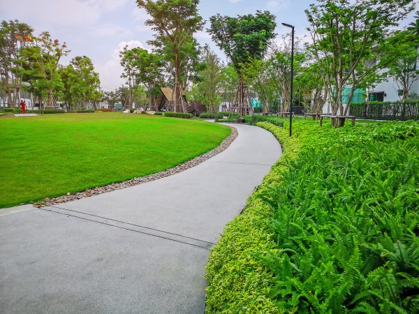 Cement Walkway Service in Redmond