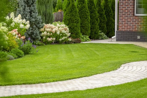 Landscape Walkway Installation in Redmond